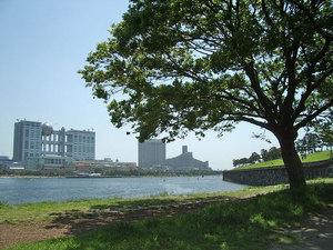 お台場の風景
